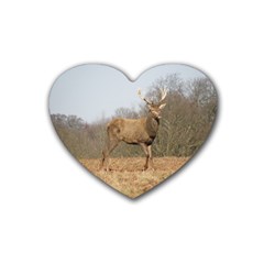 Red Deer Stag On A Hill Heart Coaster (4 Pack)  by GiftsbyNature