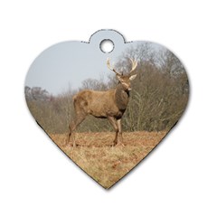 Red Deer Stag on a Hill Dog Tag Heart (One Side)