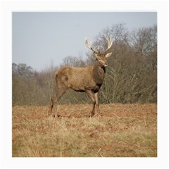 Red Deer Stag On A Hill Medium Glasses Cloth (2-side) by GiftsbyNature