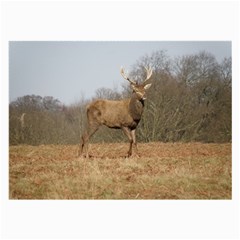 Red Deer Stag on a Hill Large Glasses Cloth