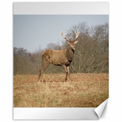 Red Deer Stag On A Hill Canvas 11  X 14  