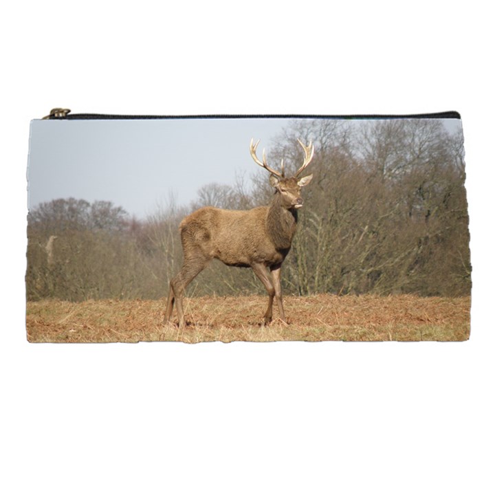 Red Deer Stag on a Hill Pencil Cases