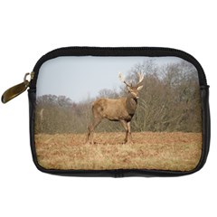 Red Deer Stag On A Hill Digital Camera Cases by GiftsbyNature