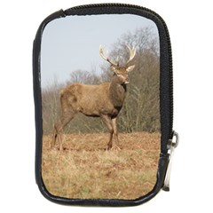 Red Deer Stag On A Hill Compact Camera Cases by GiftsbyNature