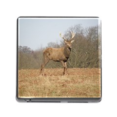 Red Deer Stag On A Hill Memory Card Reader (square) by GiftsbyNature