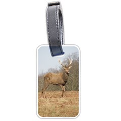 Red Deer Stag on a Hill Luggage Tags (One Side) 