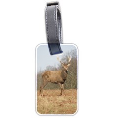 Red Deer Stag On A Hill Luggage Tags (two Sides)