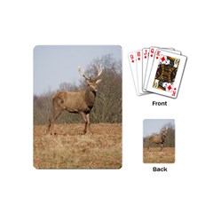 Red Deer Stag on a Hill Playing Cards (Mini) 