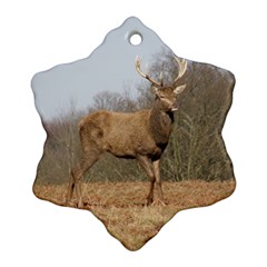 Red Deer Stag on a Hill Ornament (Snowflake) 