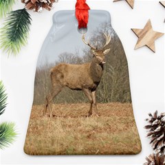 Red Deer Stag On A Hill Ornament (bell)  by GiftsbyNature