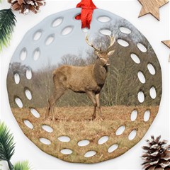 Red Deer Stag on a Hill Round Filigree Ornament (2Side)