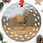 Red Deer Stag on a Hill Round Filigree Ornament (2Side) Front