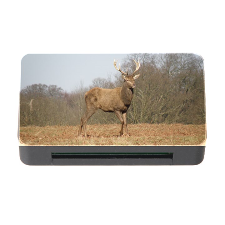 Red Deer Stag on a Hill Memory Card Reader with CF