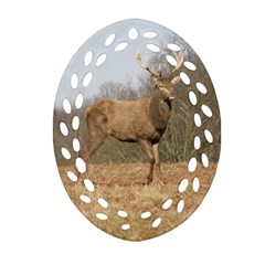 Red Deer Stag on a Hill Ornament (Oval Filigree) 