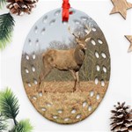 Red Deer Stag on a Hill Ornament (Oval Filigree)  Front