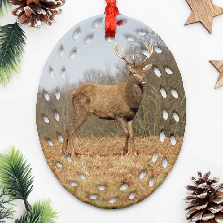 Red Deer Stag on a Hill Ornament (Oval Filigree) 