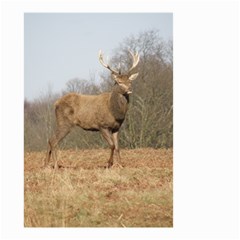 Red Deer Stag on a Hill Small Garden Flag (Two Sides)