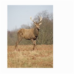 Red Deer Stag On A Hill Large Garden Flag (two Sides) by GiftsbyNature