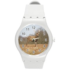 Red Deer Stag On A Hill Round Plastic Sport Watch (m) by GiftsbyNature