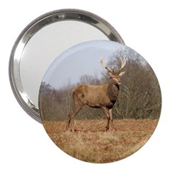 Red Deer Stag On A Hill 3  Handbag Mirrors by GiftsbyNature