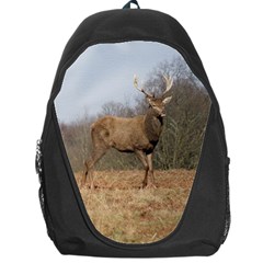 Red Deer Stag On A Hill Backpack Bag by GiftsbyNature