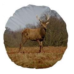 Red Deer Stag on a Hill Large 18  Premium Round Cushions