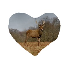 Red Deer Stag on a Hill Standard 16  Premium Heart Shape Cushions