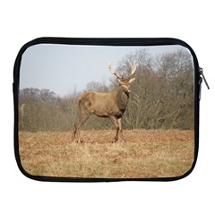 Red Deer Stag On A Hill Apple Ipad 2/3/4 Zipper Cases by GiftsbyNature