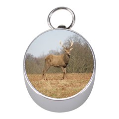 Red Deer Stag On A Hill Mini Silver Compasses by GiftsbyNature