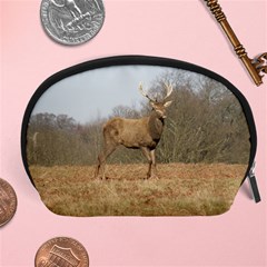 Red Deer Stag on a Hill Accessory Pouches (Large) 