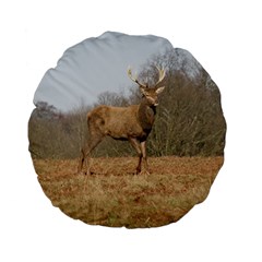 Red Deer Stag On A Hill Standard 15  Premium Flano Round Cushions by GiftsbyNature