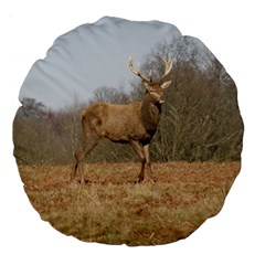 Red Deer Stag On A Hill Large 18  Premium Flano Round Cushions