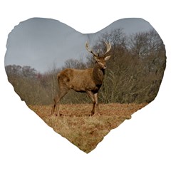 Red Deer Stag on a Hill Large 19  Premium Flano Heart Shape Cushions