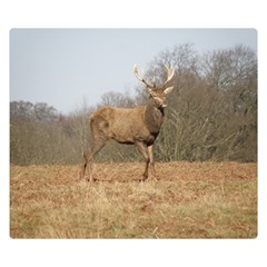 Red Deer Stag On A Hill Double Sided Flano Blanket (small) 