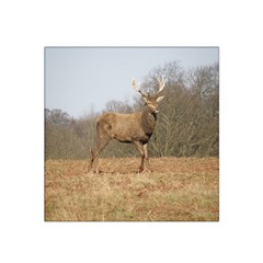 Red Deer Stag on a Hill Satin Bandana Scarf