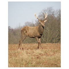 Red Deer Stag On A Hill Drawstring Bag (small) by GiftsbyNature