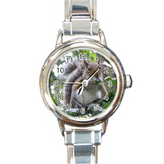 Gray Squirrel Eating Sycamore Seed Round Italian Charm Watch by GiftsbyNature