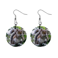 Gray Squirrel Eating Sycamore Seed Mini Button Earrings by GiftsbyNature