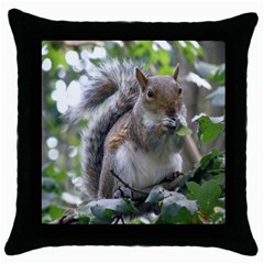 Gray Squirrel Eating Sycamore Seed Throw Pillow Case (black)