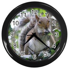 Gray Squirrel Eating Sycamore Seed Wall Clocks (black) by GiftsbyNature