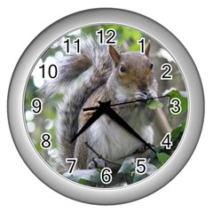 Gray Squirrel Eating Sycamore Seed Wall Clocks (silver)  by GiftsbyNature