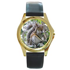 Gray Squirrel Eating Sycamore Seed Round Gold Metal Watch by GiftsbyNature