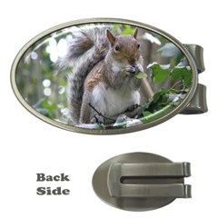 Gray Squirrel Eating Sycamore Seed Money Clips (oval) 