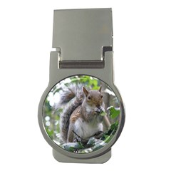 Gray Squirrel Eating Sycamore Seed Money Clips (round) 