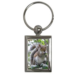 Gray Squirrel Eating Sycamore Seed Key Chains (rectangle)  by GiftsbyNature