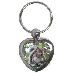 Gray Squirrel Eating Sycamore Seed Key Chains (heart)  by GiftsbyNature