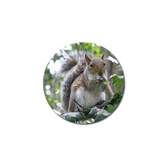 Gray Squirrel Eating Sycamore Seed Golf Ball Marker by GiftsbyNature