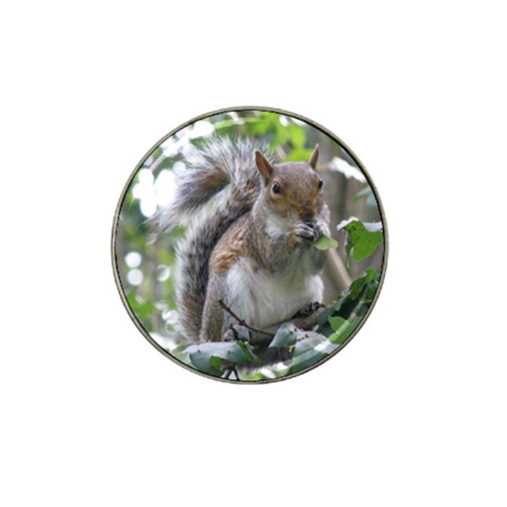 Gray Squirrel Eating Sycamore Seed Hat Clip Ball Marker