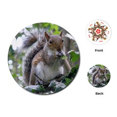 Gray Squirrel Eating Sycamore Seed Playing Cards (round)  by GiftsbyNature