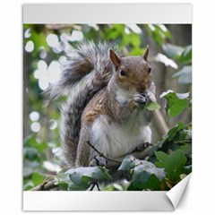 Gray Squirrel Eating Sycamore Seed Canvas 16  X 20   by GiftsbyNature